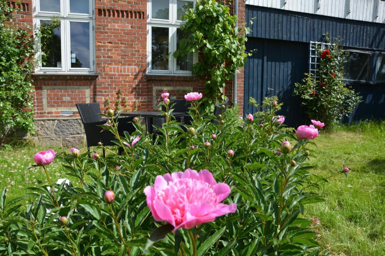 Kirkely Bed And Breakfast Vester Ulslev 외부 사진